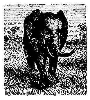 Stichting Vrienden van Chiromo Welkom op onze website